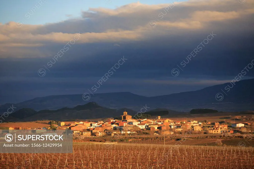 Azofra village, Camino de Santiago, Rioja wine region, Spain, Europe.