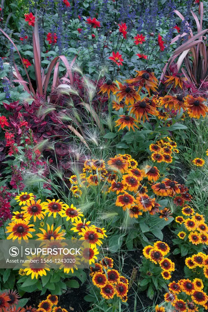 Floral Display Avenue Gardens Regents Park London UK August