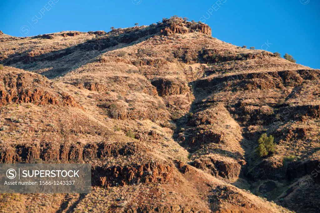 Basalt cliffs, John Day Fossil Beds National Monument-Sheep Rock Unit, Journey through Time National Scenic Byway, Oregon