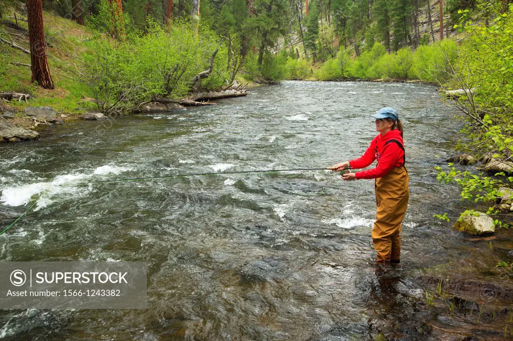 Fly fishing, Malheur Wild and Scenic River, Malheur National Forest, Oregon