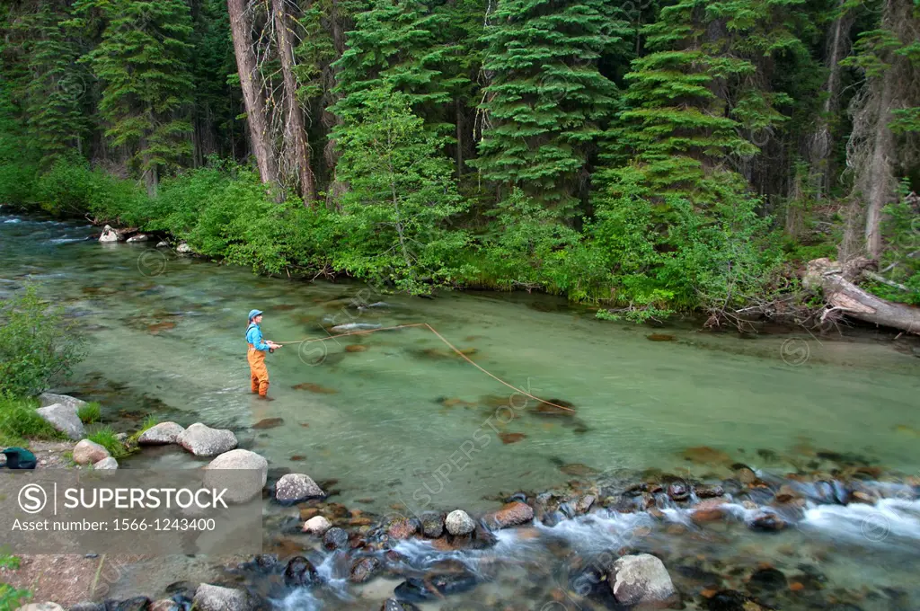 Fly fishing, Eagle Creek Wild and Scenic River, Wallowa-Whitman National Forest, Oregon