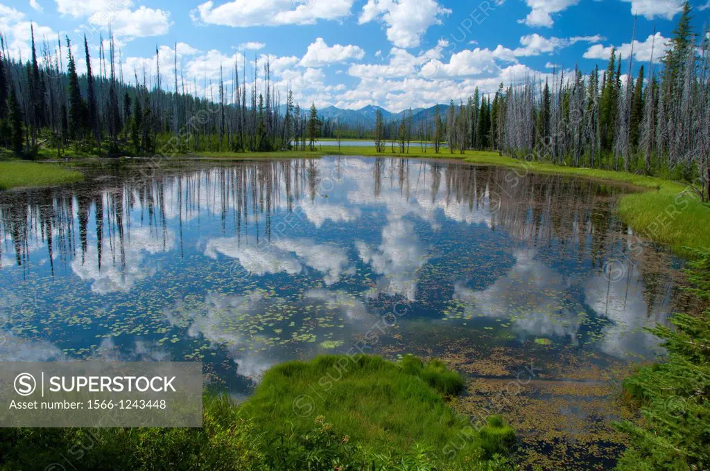 Twin Lakes, Hells Canyon National Recreation Area, Oregon