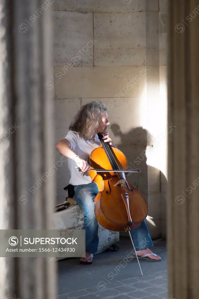 Musician in the Louvre Museum, Paris, France.