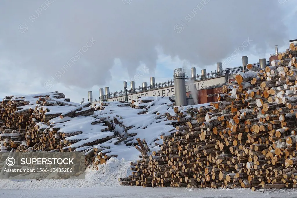 Munksund paper mil: wood piles for pulp making, Pitea, Sweden