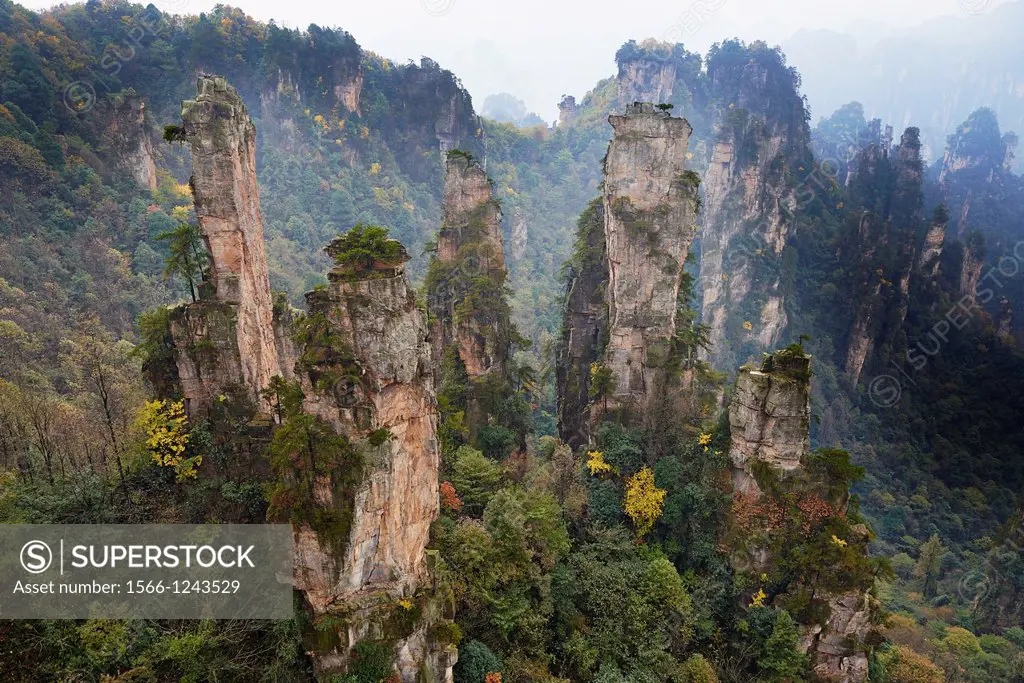 China, Hunan Province, Zhangjiajie, Wulingyuan Scenic Area, Zhangjiajie National Forest Park, Unesco world Heritage