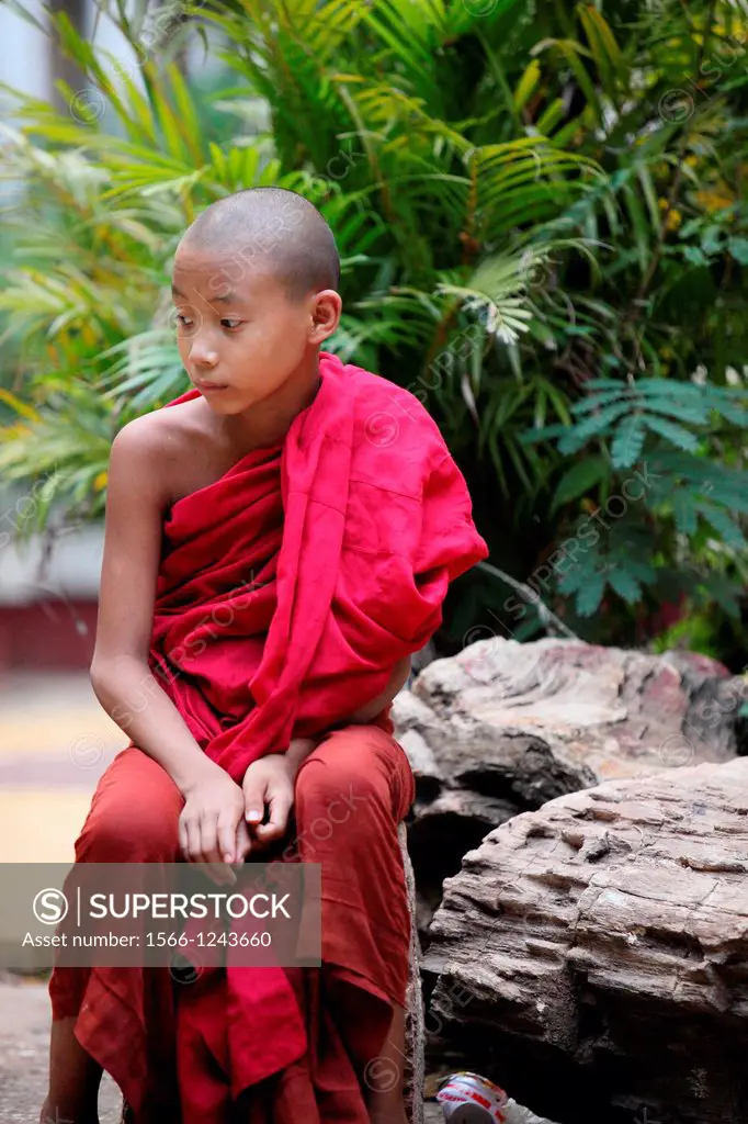 Potrait of the young Monk, Shan State, Myanmar, burma