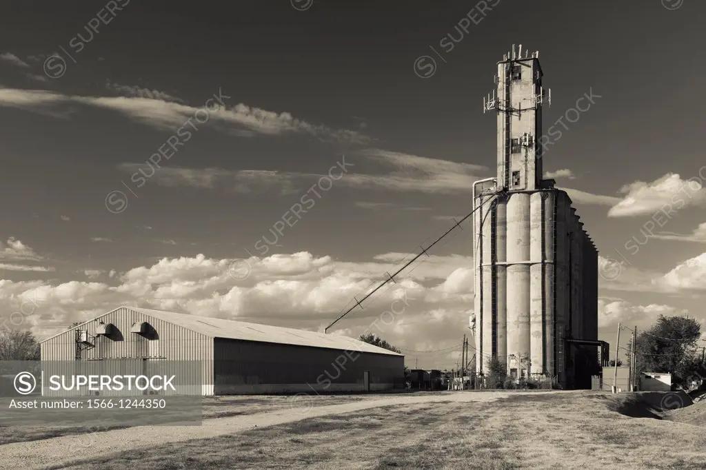 USA, Kansas, Hutchinson, grain elevator, dusk