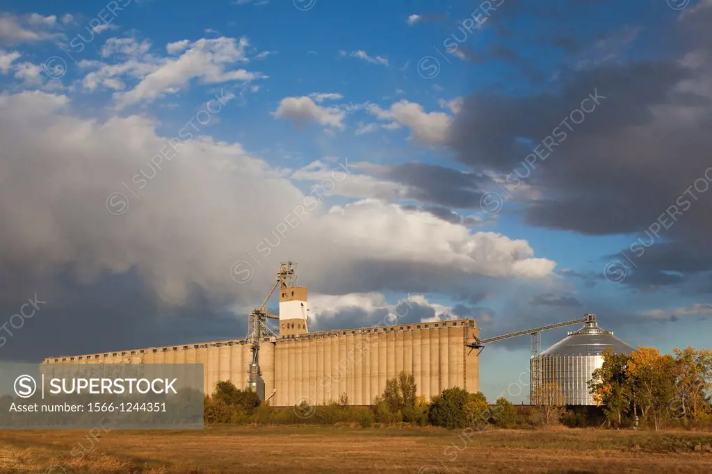 USA, Kansas, Hutchinson, grain elevator, dusk