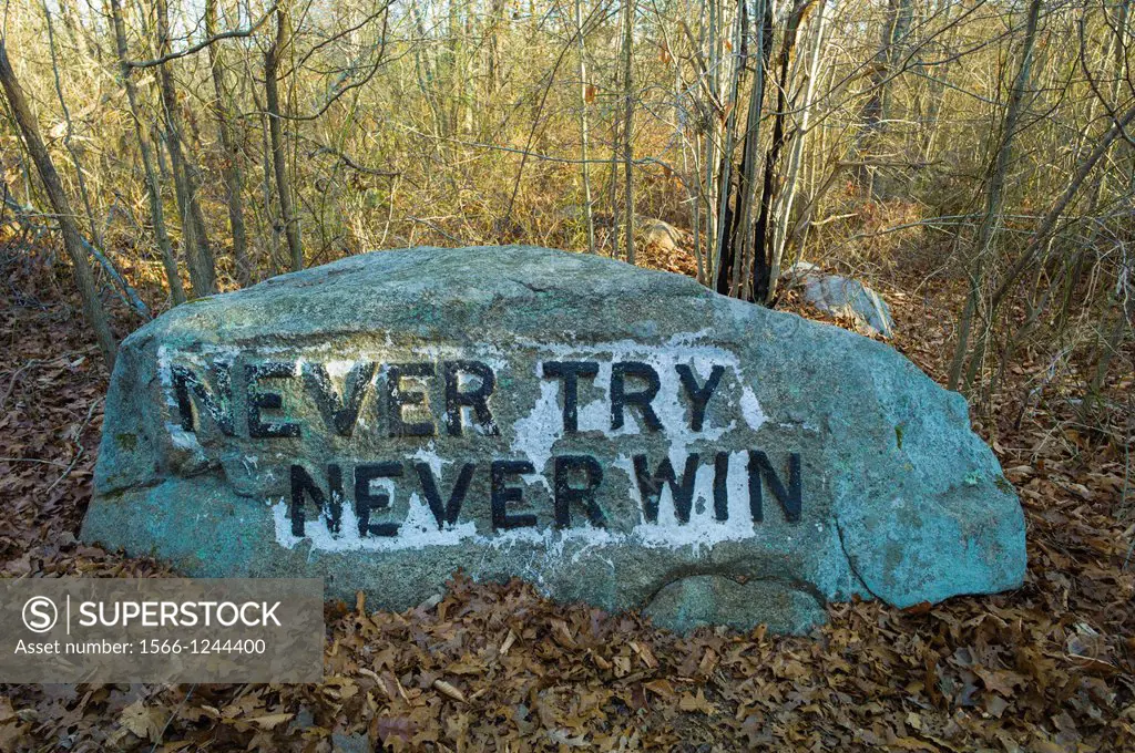 USA, Massachusetts, Gloucester, Dogtown rocks with inspirational words, Never Try, Never Win