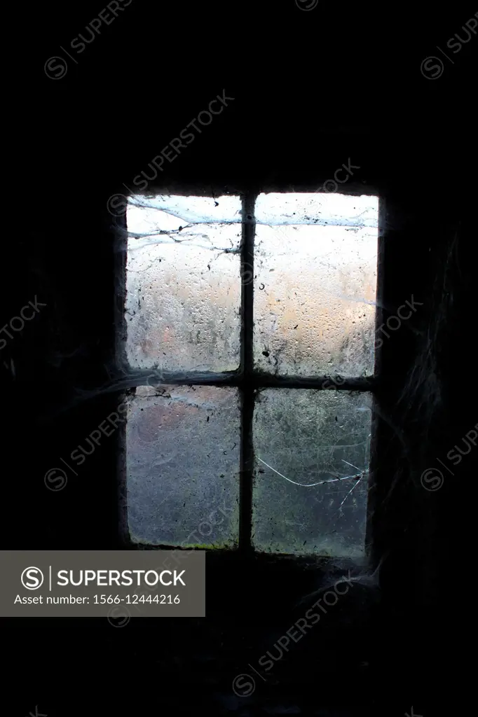 Window covered with cobwebs in abandoned shed building