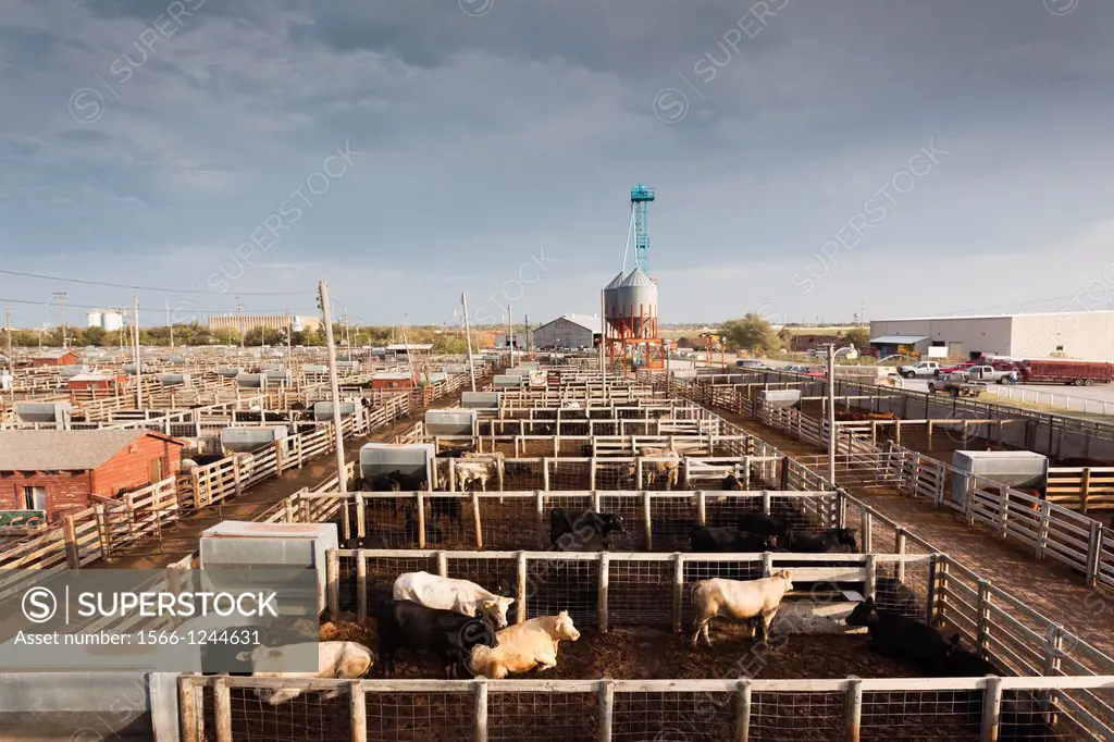USA, Oklahoma, Oklahoma City, Oklahoma National Stockyards, elevated view of cattle pens