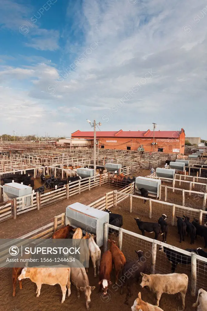 USA, Oklahoma, Oklahoma City, Oklahoma National Stockyards, elevated view of cattle pens