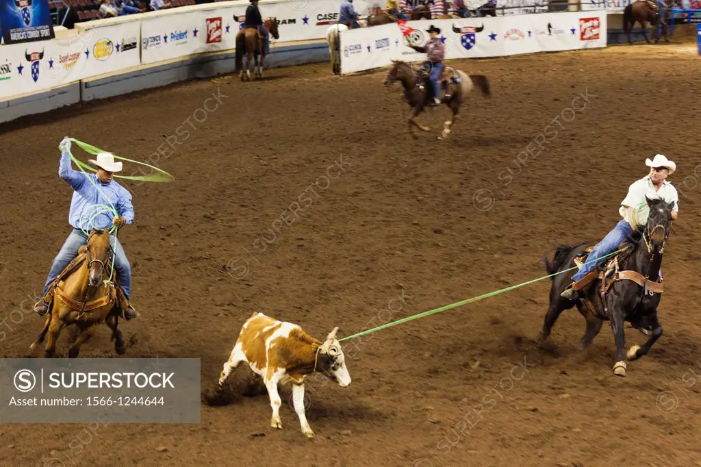 USA, Oklahoma, Oklahoma City, Oklahoma State Fair Park, Cowboy Rodeo Competition, cattle roping, motion-blur