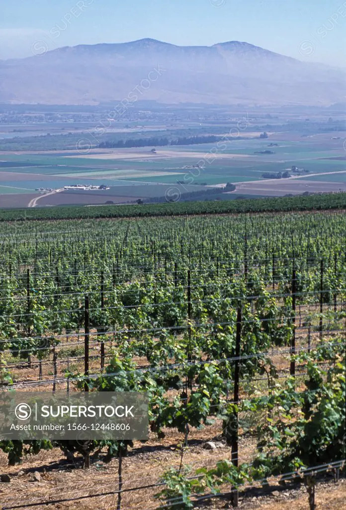 CALIFORNIA - View of Salinas Valley from vinyards that line the hillsides.