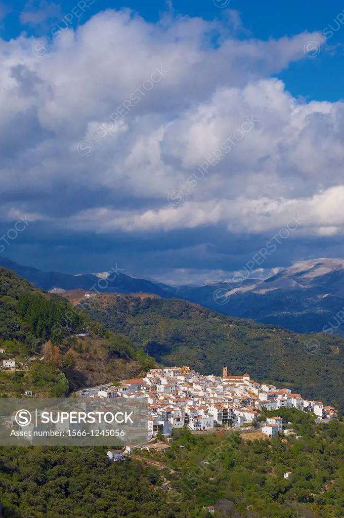 Algatocín  Genal river valley, Ronda mountains, White villages, Pueblos Blancos, Serranía de Ronda  Málaga province, Andalusia, Spain