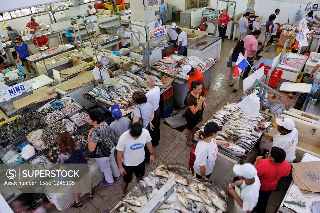 fish and seafood market, San Felipe area, Panama City, Republic of Panama, Central America