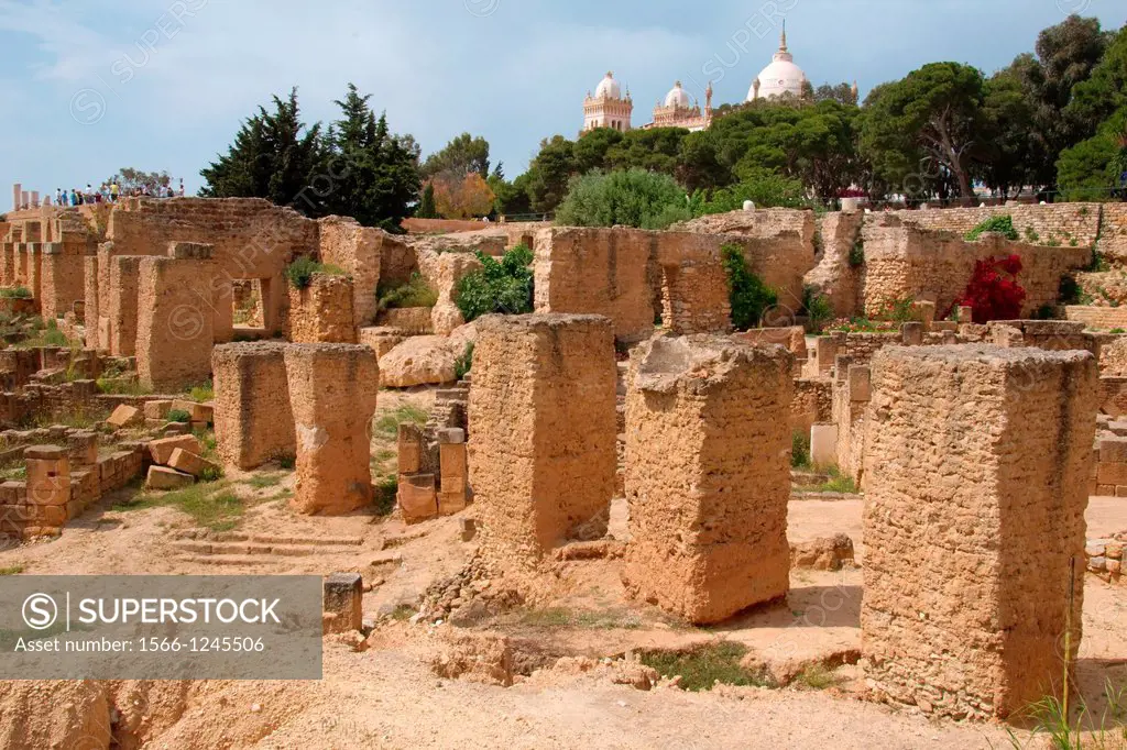 Ancient Carthage, antique city, Tunisia, Africa