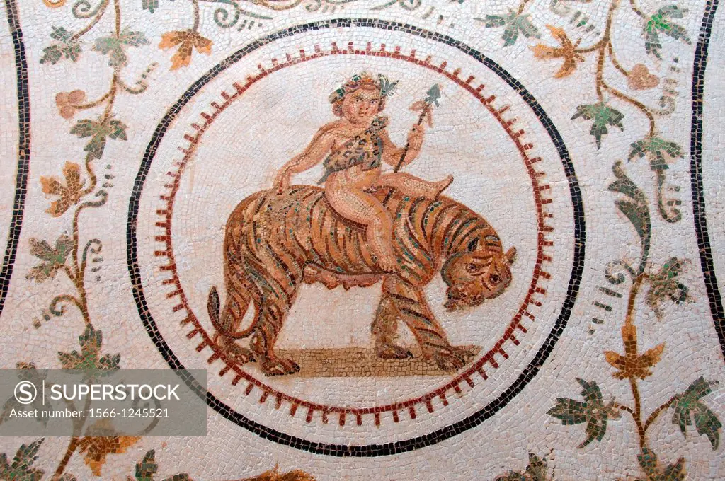God of Wine Dionysus Bacchus, Ancient Carthage, antique city, Tunisia, Africa