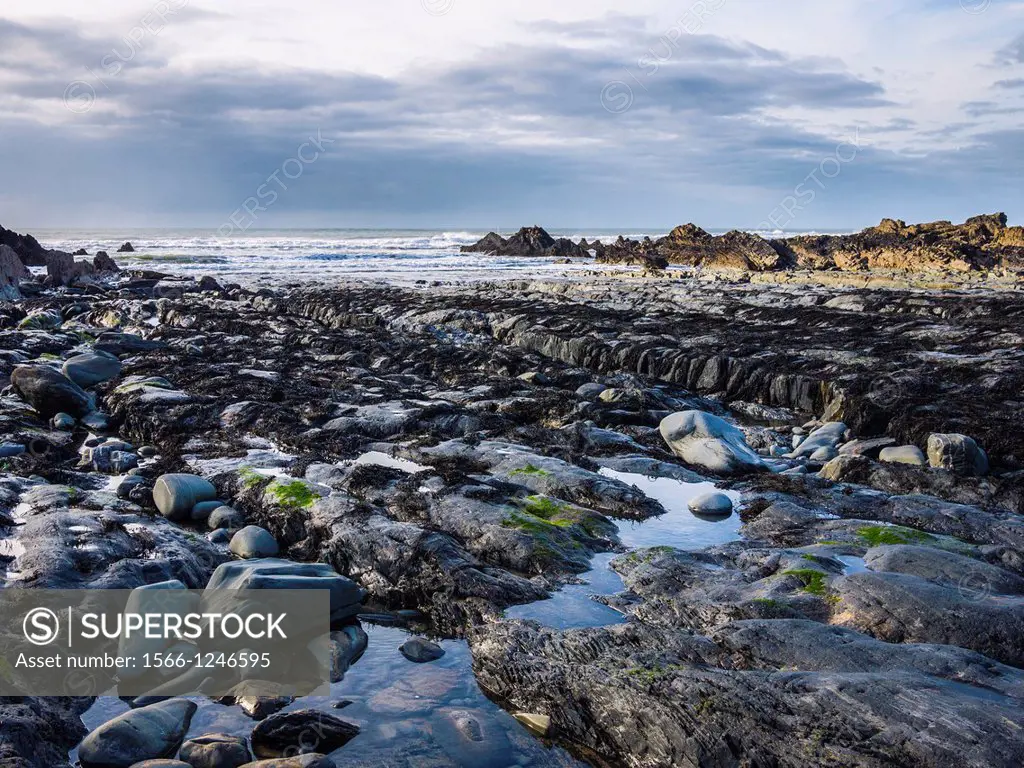 Exposed rocks and tidal pools at Duckpool on the Atlantic coastline of North Cornwall near Bude, England