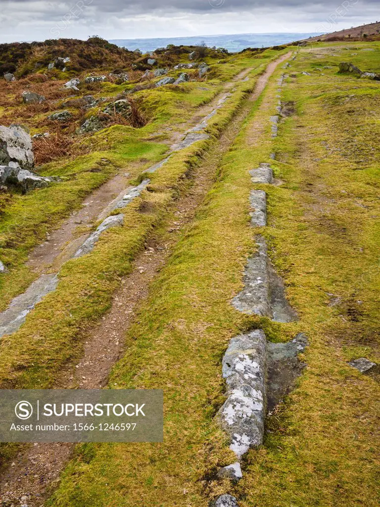 Trackwork remains of the Haytor Granite Tramway in Dartmoor National Park near Bovey Tracey, Devon, England
