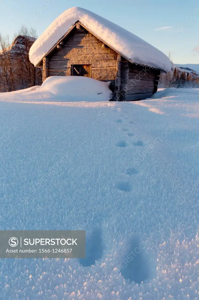 Old barn in sunny winter landscape in swedish lapland