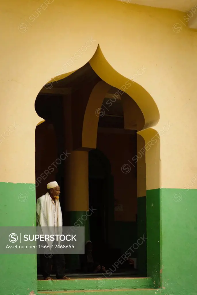 Jamia Mosque, built in the 16th century, Old Town, Harar, town listed as World Heritage by UNESCO, Ethiopia, Africa.