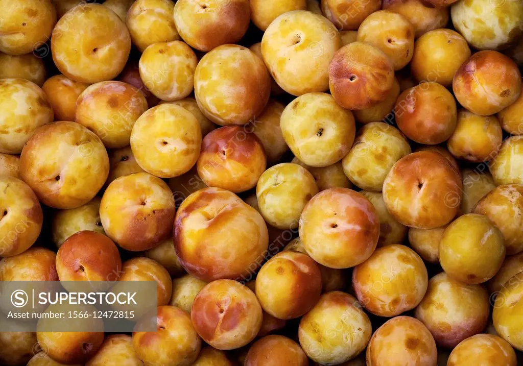 Mosaic of many yellow plums