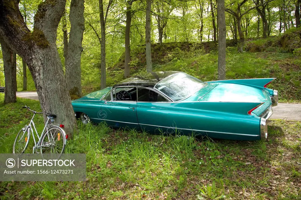 Classic car, picnic, Americans car Cadillac, Stockholm, Sweden