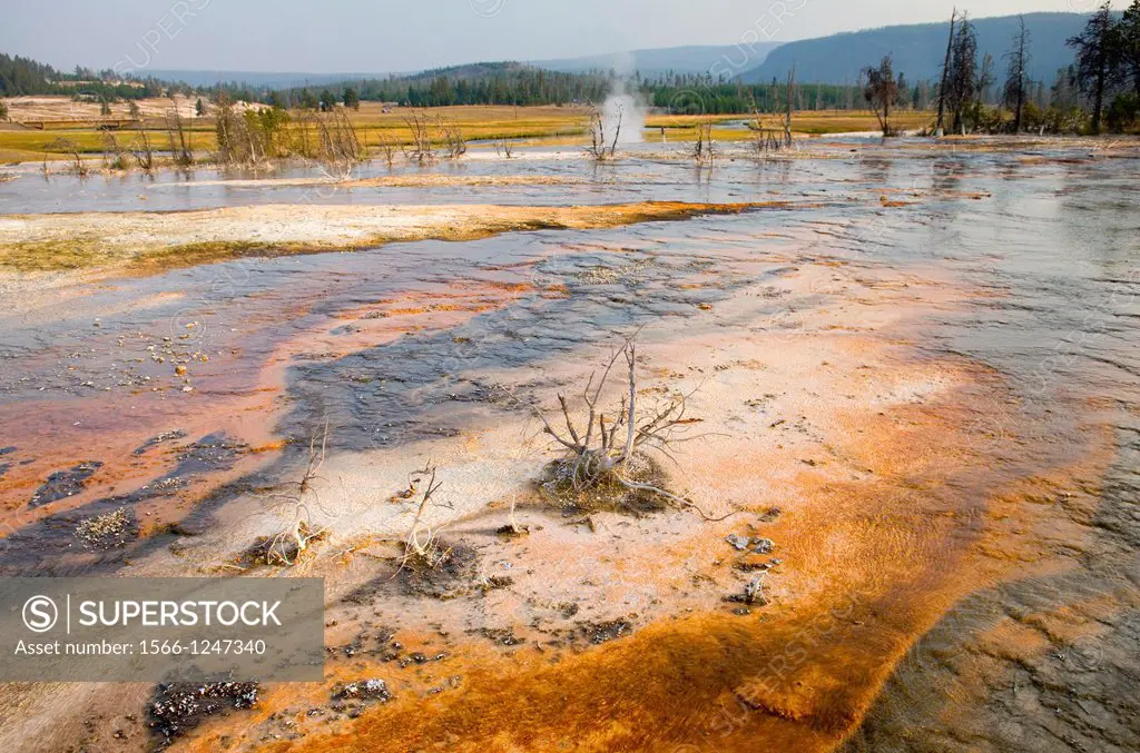 Biscuit Basin, Yellowstone National Park