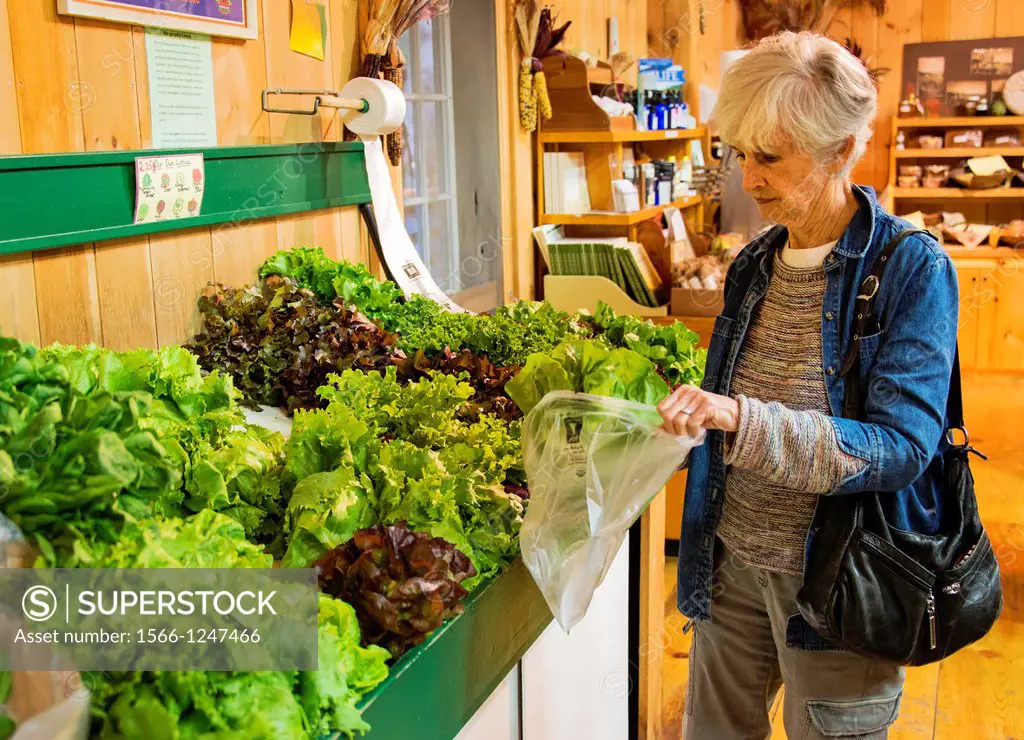 Senior woman shopping for vegetables at a farm market