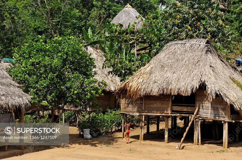 thatched houses in a village of Embera native community living by the Chagres River within the Chagres National Park, Republic of Panama, Central Amer...