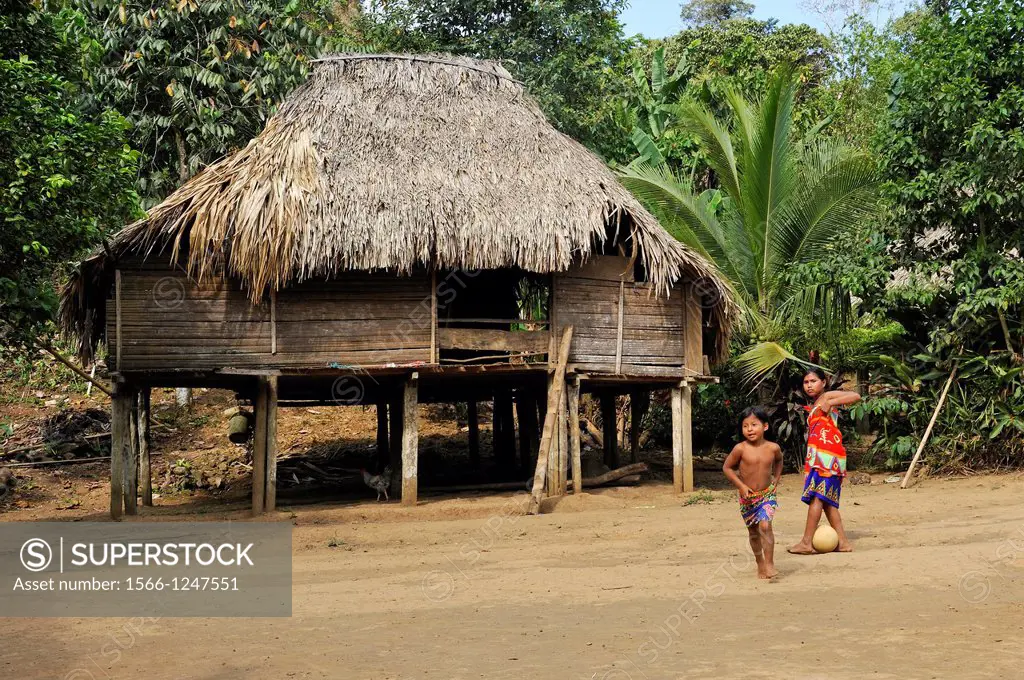 thatched house in a village of Embera native community living by the Chagres River within the Chagres National Park, Republic of Panama, Central Ameri...