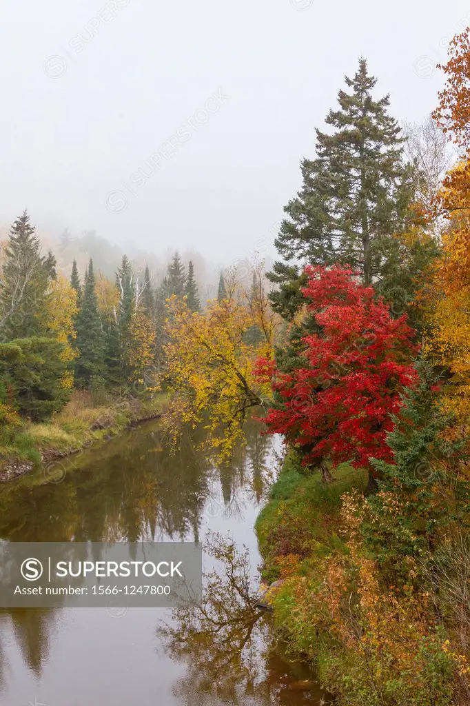 A small stream with fall foliage color and fog in northern Wisconsin, USA