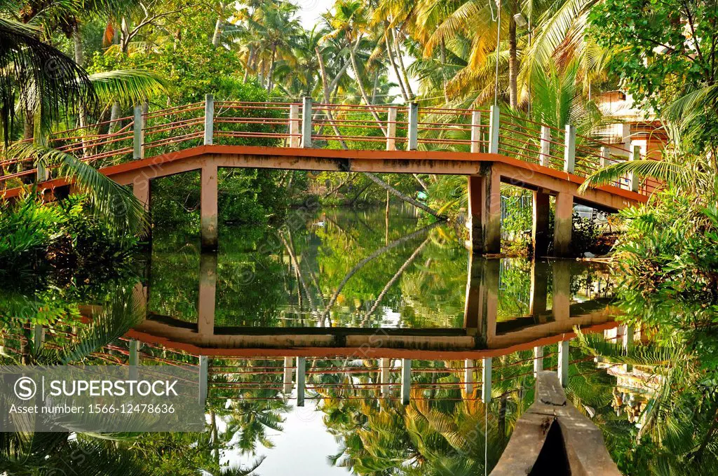 backwaters of Monroe Island, Kerala, India.