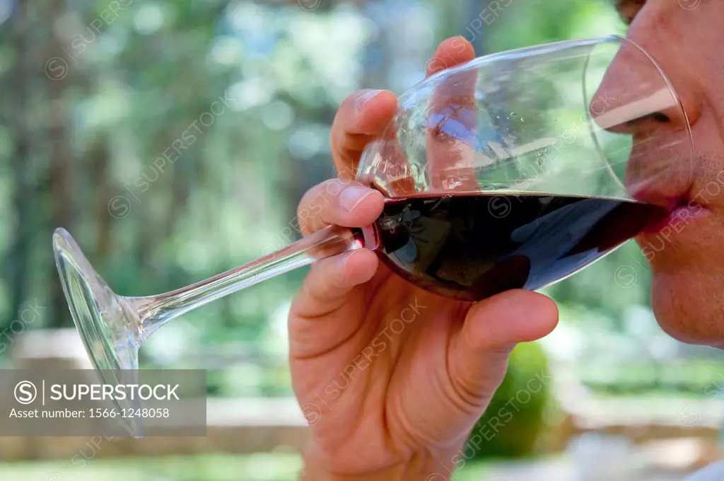 Man drinking a glass of red wine. Close view.