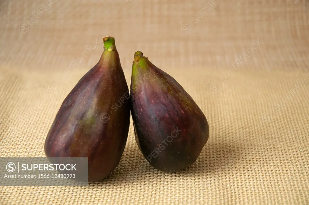Two black figs.