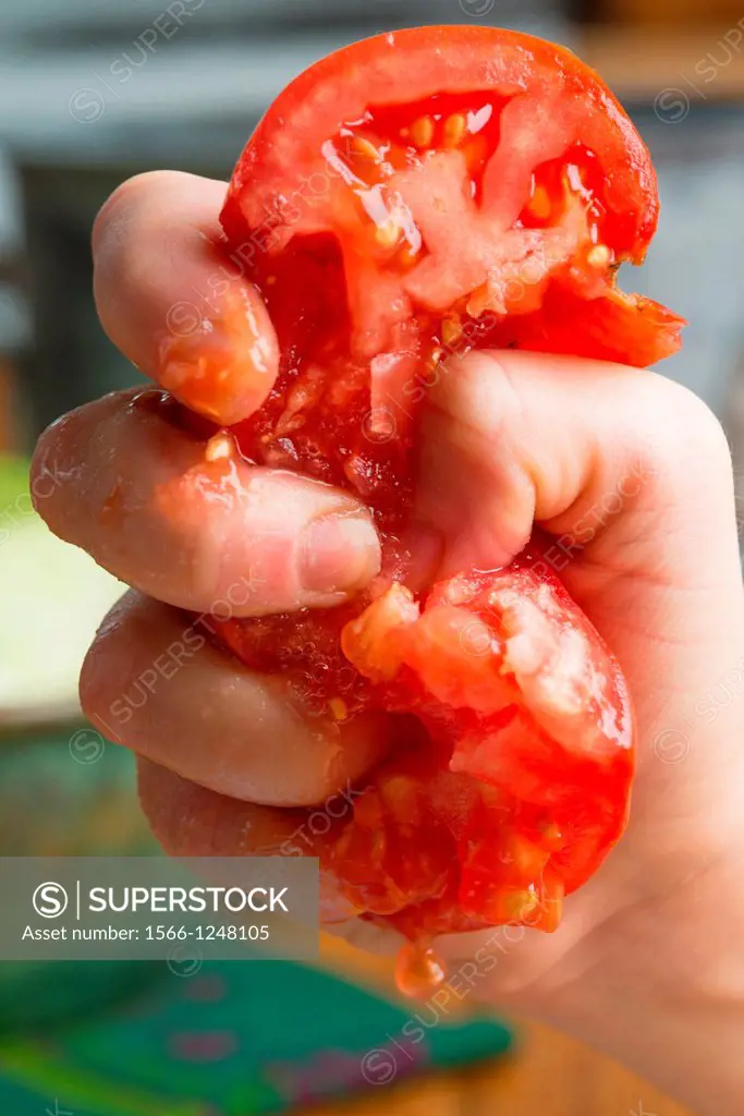 Tomato crushed in fingers