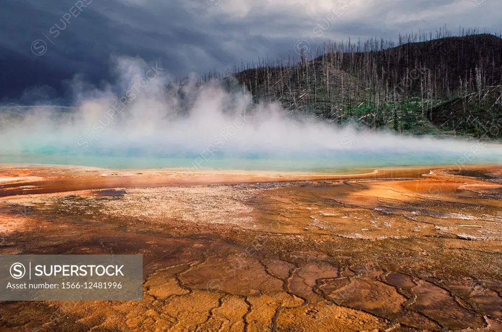 Grand Prismatic Spring with colorful algae and approaching storm clouds, Midway Geyser Basin, Yellowstone National Park, Wyoming, USA.