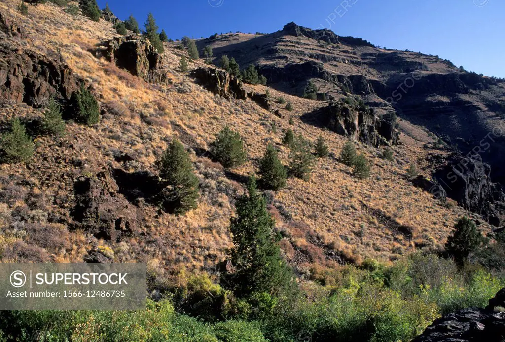 De Garmo Creek Canyon, Hart Mountain National Antelope Refuge, Oregon.
