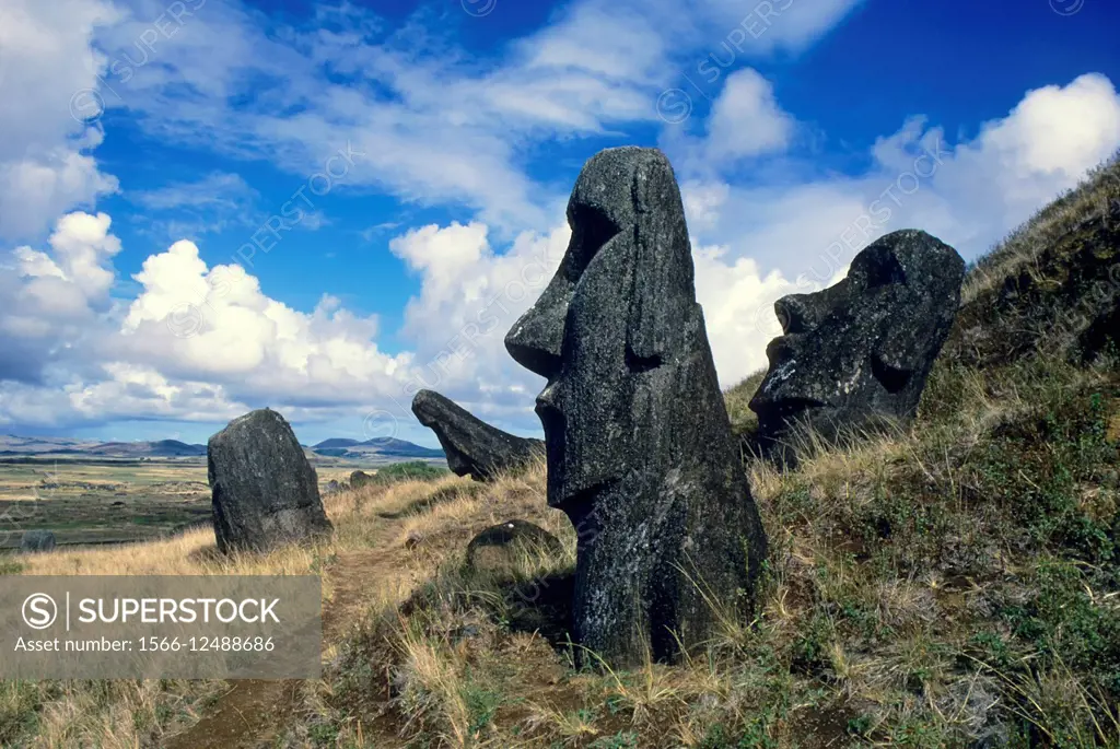 Moai statues at Rano Raraku which is a volcanic crater located on the lower slopes of Terevaka in the Rapa Nui National Park on Easter Island in Chile...