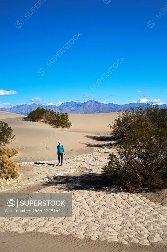 Death Valley National Park, California - Susan Newell, 64, hikes on the Mesquite Flat Sand Dunes  MR