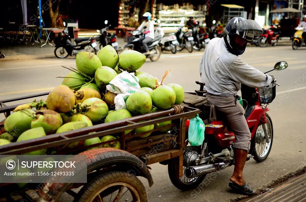Coconout seller. Siem Reap. Cambodia