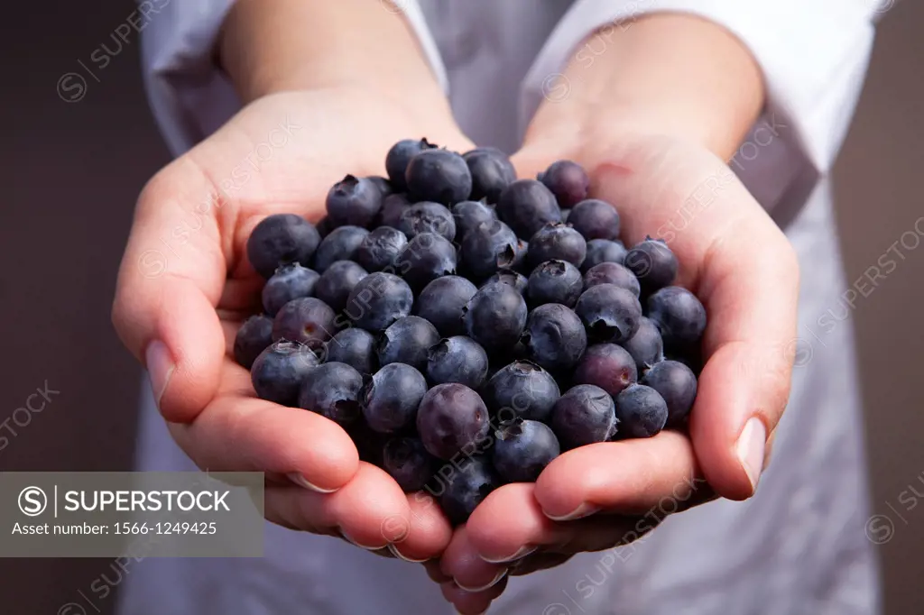 Blueberries-Vaccinium corymbosum