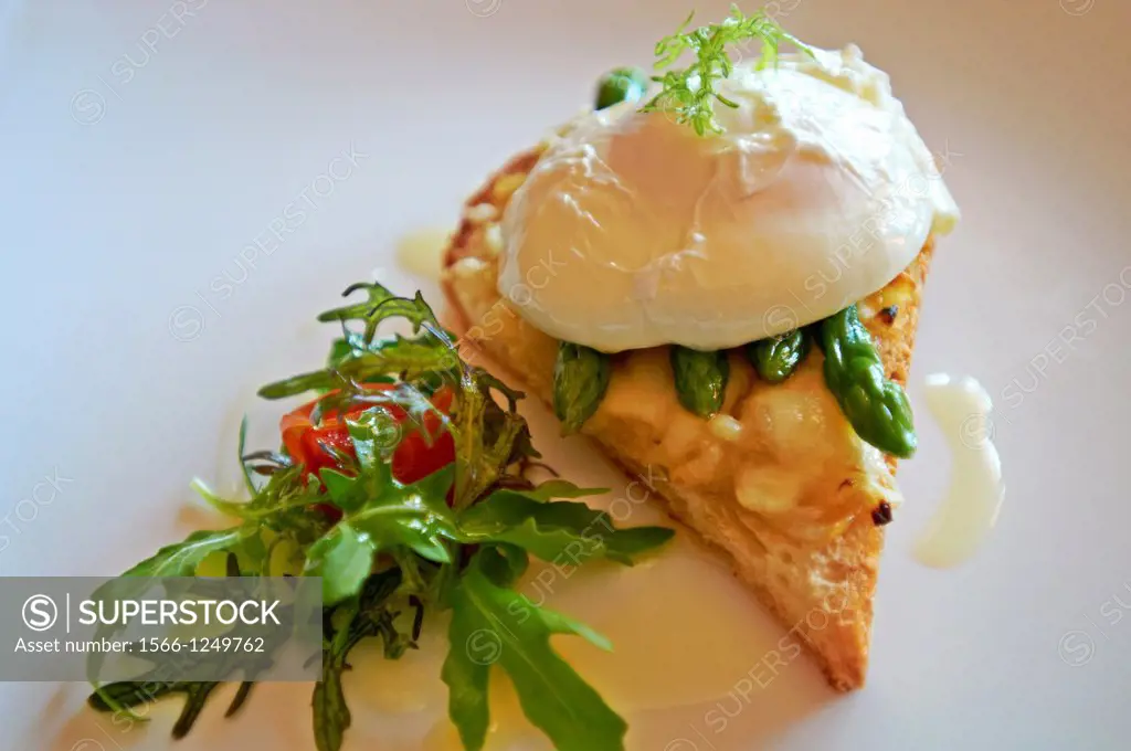 -Poche Egg- Delicious Food with Poche Egg, Omelette and Tomatoes