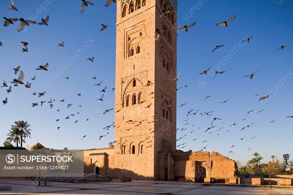 africa, morocco, marrakech, la koutoubia mosque
