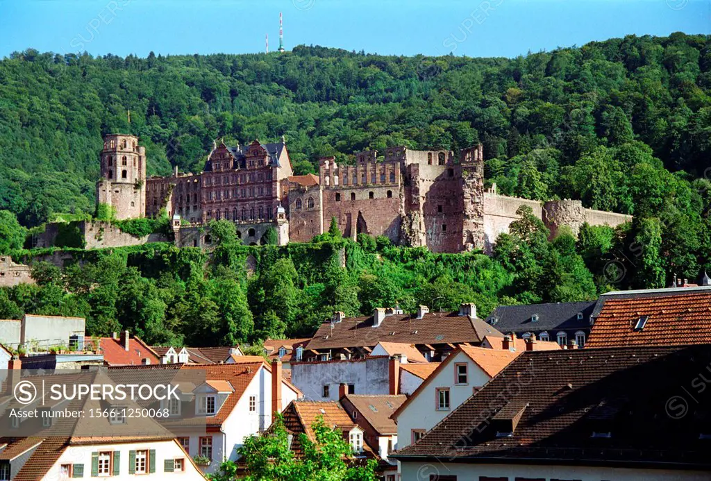Heidelberg cityscape and castle Germany