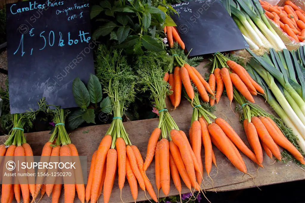 France, Aquitaine, Gironde, Carrots on the market at sainte-Foy-la Grande.