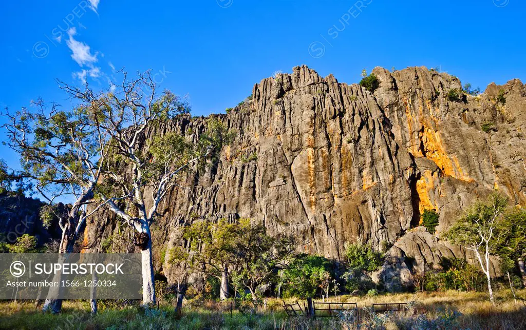 Australia, Western Australia, Kimberley, Windjana Gorge National Park, view of 350 million year old devonian reef