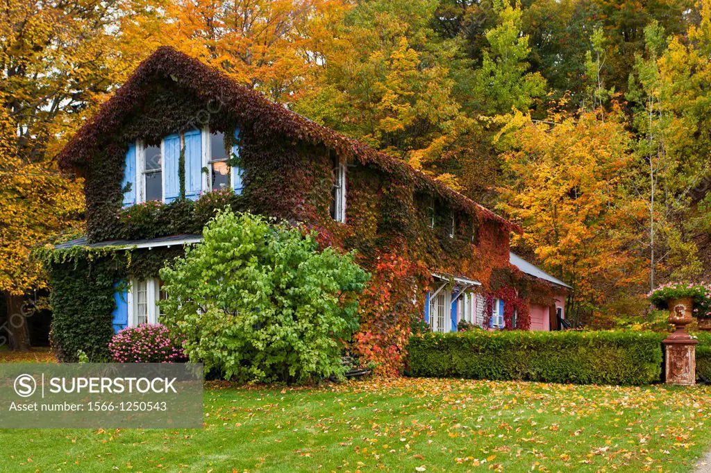 A vine covered Antique shop with fall foliage color in Petoskey, Michigan, USA