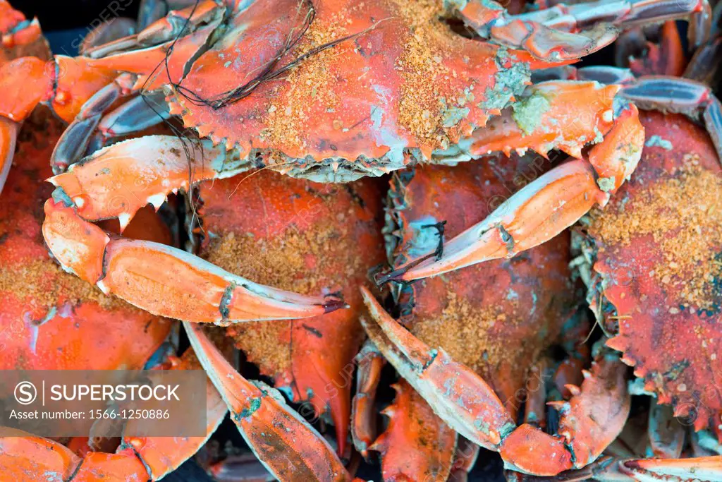 Steamed crabs with Old Bay seasoning on a pier by the shoreline of the Potomac River near the Chesapeake Bay, Virginia USA